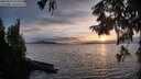 ./images/koeye/fitz-hugh/20250918/fitz-hugh20250918_192010M.jpg