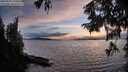 ./images/koeye/fitz-hugh/20250918/fitz-hugh20250918_193010M.jpg