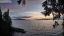 ./images/koeye/fitz-hugh/20250918/fitz-hugh20250918_193508M.jpg