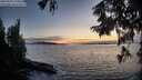 ./images/koeye/fitz-hugh/20250918/fitz-hugh20250918_194509M.jpg