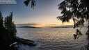 ./images/koeye/fitz-hugh/20250918/fitz-hugh20250918_195009M.jpg