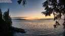 ./images/koeye/fitz-hugh/20250918/fitz-hugh20250918_195509M.jpg