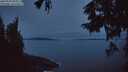 ./images/koeye/fitz-hugh/20250919/fitz-hugh20250919_064012M.jpg