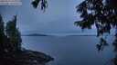 ./images/koeye/fitz-hugh/20250919/fitz-hugh20250919_065510M.jpg