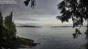 ./images/koeye/fitz-hugh/20250919/fitz-hugh20250919_082009M.jpg