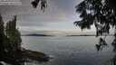 ./images/koeye/fitz-hugh/20250919/fitz-hugh20250919_082510M.jpg