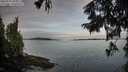 ./images/koeye/fitz-hugh/20250919/fitz-hugh20250919_083011M.jpg