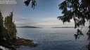 ./images/koeye/fitz-hugh/20250919/fitz-hugh20250919_085510M.jpg