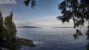 ./images/koeye/fitz-hugh/20250919/fitz-hugh20250919_090012M.jpg