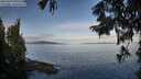 ./images/koeye/fitz-hugh/20250919/fitz-hugh20250919_090509M.jpg