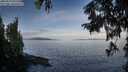 ./images/koeye/fitz-hugh/20250919/fitz-hugh20250919_091509M.jpg