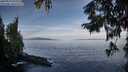 ./images/koeye/fitz-hugh/20250919/fitz-hugh20250919_092510M.jpg
