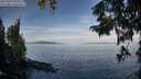 ./images/koeye/fitz-hugh/20250919/fitz-hugh20250919_093012M.jpg