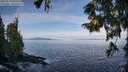 ./images/koeye/fitz-hugh/20250919/fitz-hugh20250919_095010M.jpg