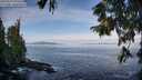 ./images/koeye/fitz-hugh/20250919/fitz-hugh20250919_095510M.jpg