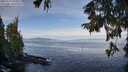 ./images/koeye/fitz-hugh/20250919/fitz-hugh20250919_100012M.jpg