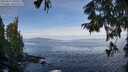 ./images/koeye/fitz-hugh/20250919/fitz-hugh20250919_100508M.jpg