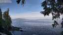 ./images/koeye/fitz-hugh/20250919/fitz-hugh20250919_101010M.jpg