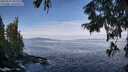 ./images/koeye/fitz-hugh/20250919/fitz-hugh20250919_101501M.jpg