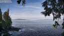 ./images/koeye/fitz-hugh/20250919/fitz-hugh20250919_102502M.jpg