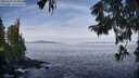 ./images/koeye/fitz-hugh/20250919/fitz-hugh20250919_103001M.jpg