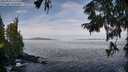 ./images/koeye/fitz-hugh/20250919/fitz-hugh20250919_103501M.jpg