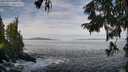 ./images/koeye/fitz-hugh/20250919/fitz-hugh20250919_104001M.jpg