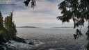 ./images/koeye/fitz-hugh/20250919/fitz-hugh20250919_104501M.jpg