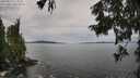 ./images/koeye/fitz-hugh/20250919/fitz-hugh20250919_123501M.jpg
