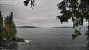 ./images/koeye/fitz-hugh/20250919/fitz-hugh20250919_125501M.jpg