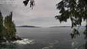 ./images/koeye/fitz-hugh/20250919/fitz-hugh20250919_130001M.jpg