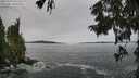 ./images/koeye/fitz-hugh/20250919/fitz-hugh20250919_131501M.jpg