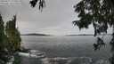 ./images/koeye/fitz-hugh/20250919/fitz-hugh20250919_132002M.jpg