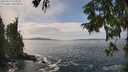 ./images/koeye/fitz-hugh/20250919/fitz-hugh20250919_134501M.jpg