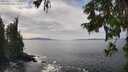 ./images/koeye/fitz-hugh/20250919/fitz-hugh20250919_135501M.jpg