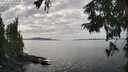 ./images/koeye/fitz-hugh/20250919/fitz-hugh20250919_152502M.jpg