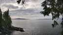 ./images/koeye/fitz-hugh/20250919/fitz-hugh20250919_154001M.jpg