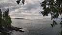 ./images/koeye/fitz-hugh/20250919/fitz-hugh20250919_155001M.jpg