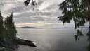 ./images/koeye/fitz-hugh/20250919/fitz-hugh20250919_160501M.jpg