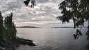 ./images/koeye/fitz-hugh/20250919/fitz-hugh20250919_161501M.jpg