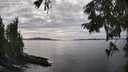 ./images/koeye/fitz-hugh/20250919/fitz-hugh20250919_162501M.jpg