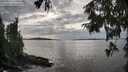 ./images/koeye/fitz-hugh/20250919/fitz-hugh20250919_165001M.jpg
