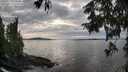 ./images/koeye/fitz-hugh/20250919/fitz-hugh20250919_171501M.jpg