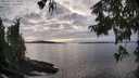 ./images/koeye/fitz-hugh/20250919/fitz-hugh20250919_174001M.jpg