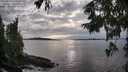 ./images/koeye/fitz-hugh/20250919/fitz-hugh20250919_175001M.jpg