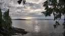 ./images/koeye/fitz-hugh/20250919/fitz-hugh20250919_175501M.jpg