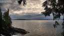 ./images/koeye/fitz-hugh/20250919/fitz-hugh20250919_183001M.jpg