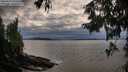 ./images/koeye/fitz-hugh/20250919/fitz-hugh20250919_183501M.jpg