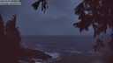 ./images/koeye/fitz-hugh/20250920/fitz-hugh20250920_064501M.jpg
