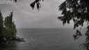 ./images/koeye/fitz-hugh/20250920/fitz-hugh20250920_114502M.jpg